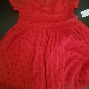 Toddler girl flocked mesh dress